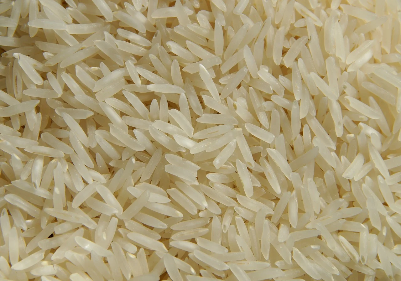 Is Raw Rice Bad For Dogs? - Poochband