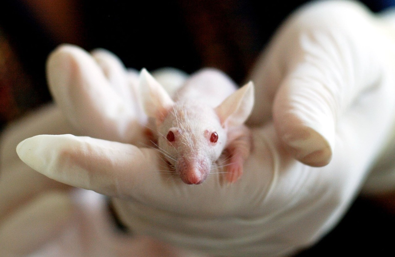 Animal Testing Statistics