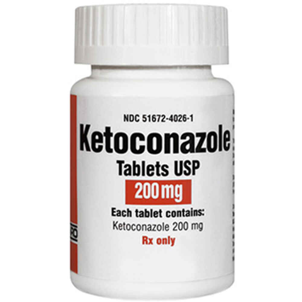 Ketoconazole killed my dog