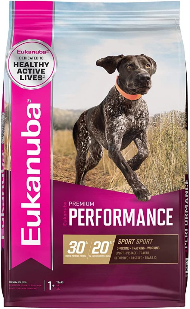 Is Eukanuba Dog Food Good? Detailed Verdict