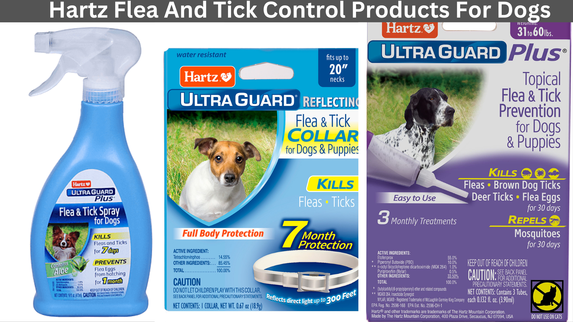 Hartz Flea And Tick Killed My Dog