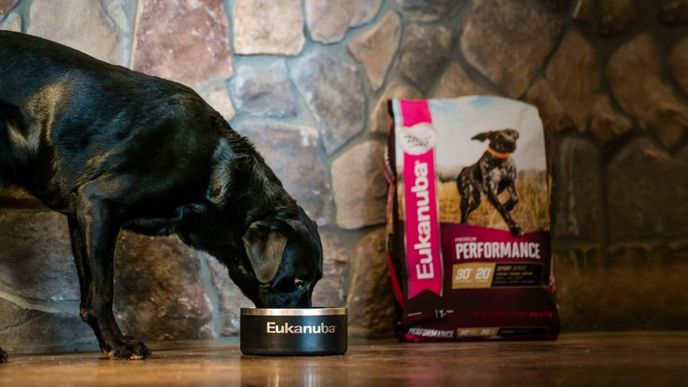 Is Eukanuba Dog Food Good? Detailed Verdict