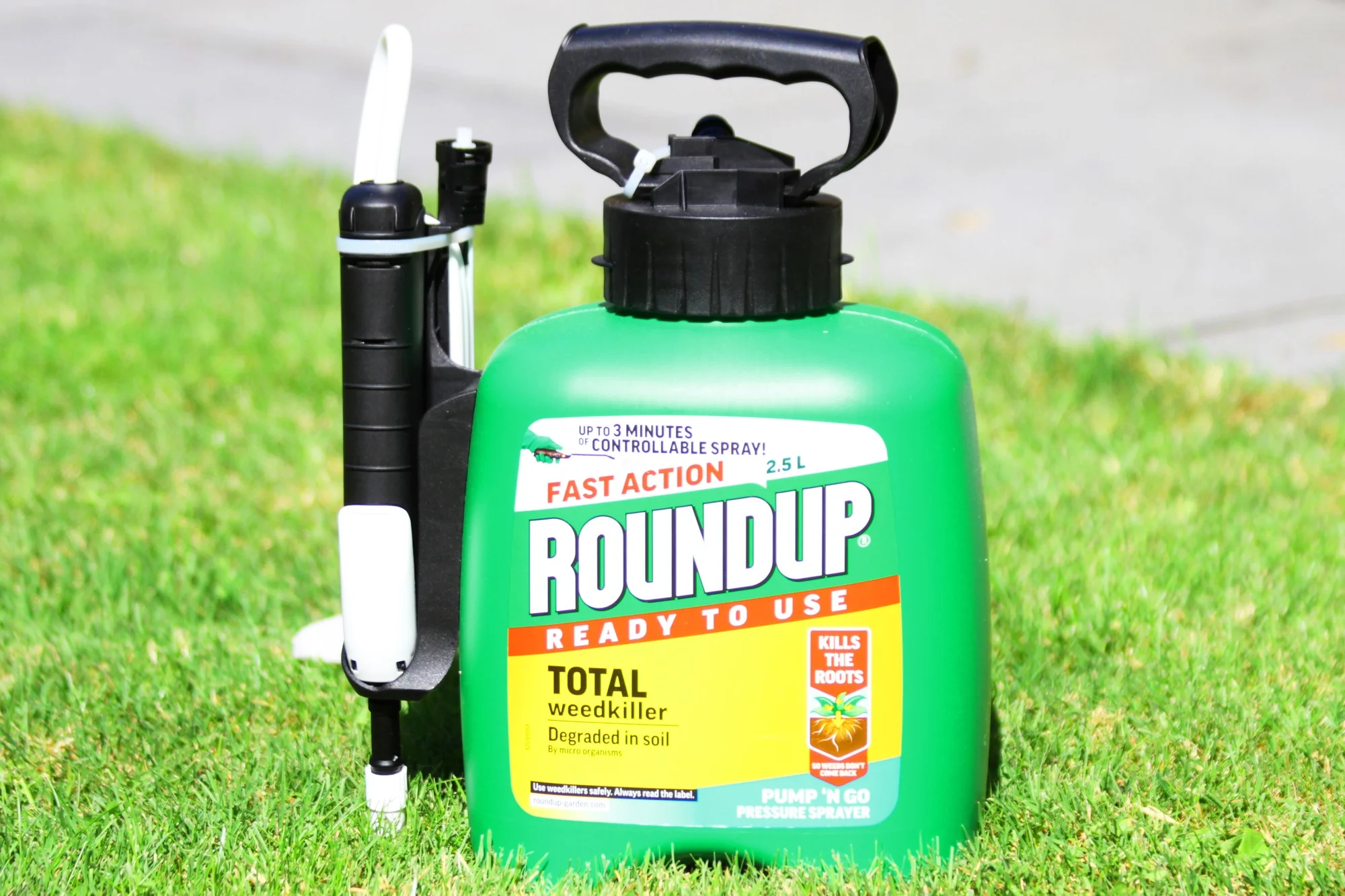 Roundup Killed My Dog