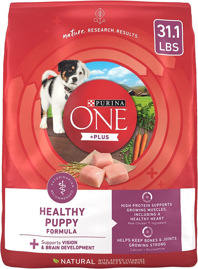 is Purina ONE a good dog food