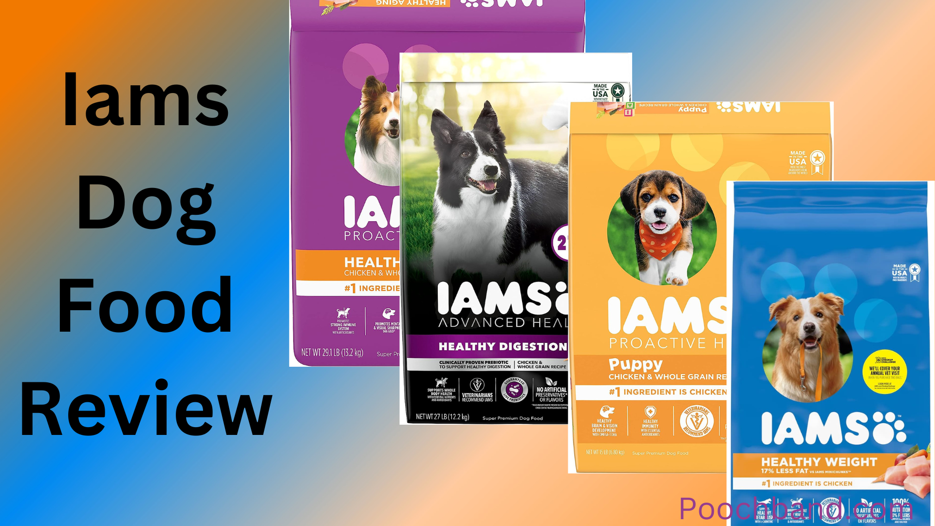 Is IAMS A Good Dog Food