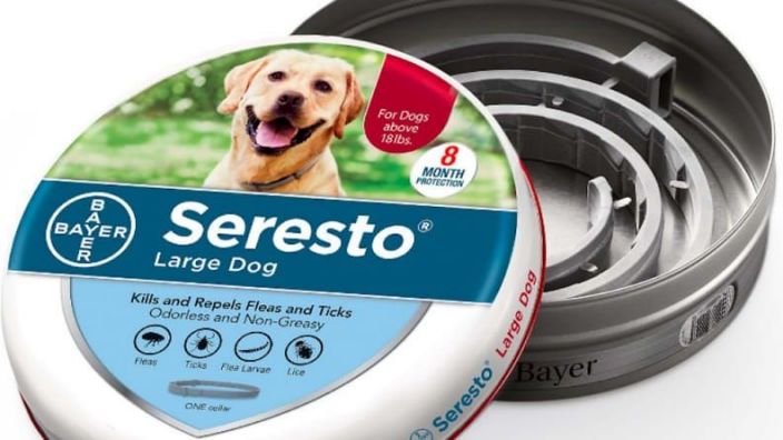 seresto killed my dog