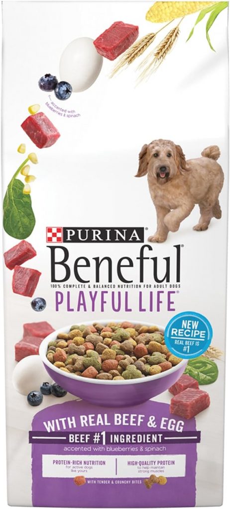 Is Purina Beneful a Good Dog Food? Full Review