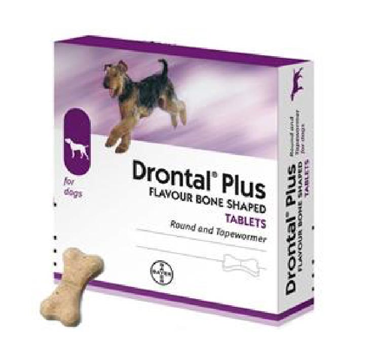 Drontal Killed My Dog