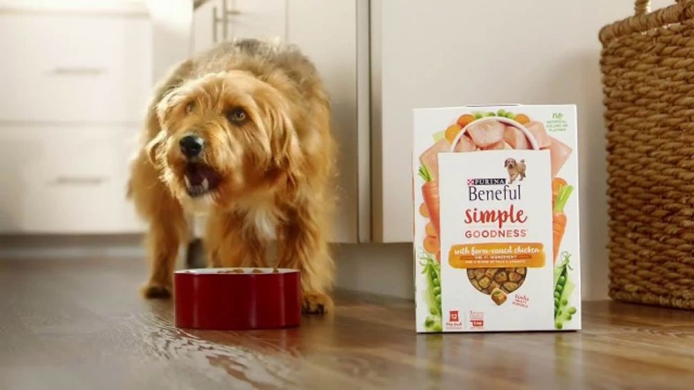 Purina Beneful is a reputable brand that offers a variety of dog food options to suit different needs and budgets.