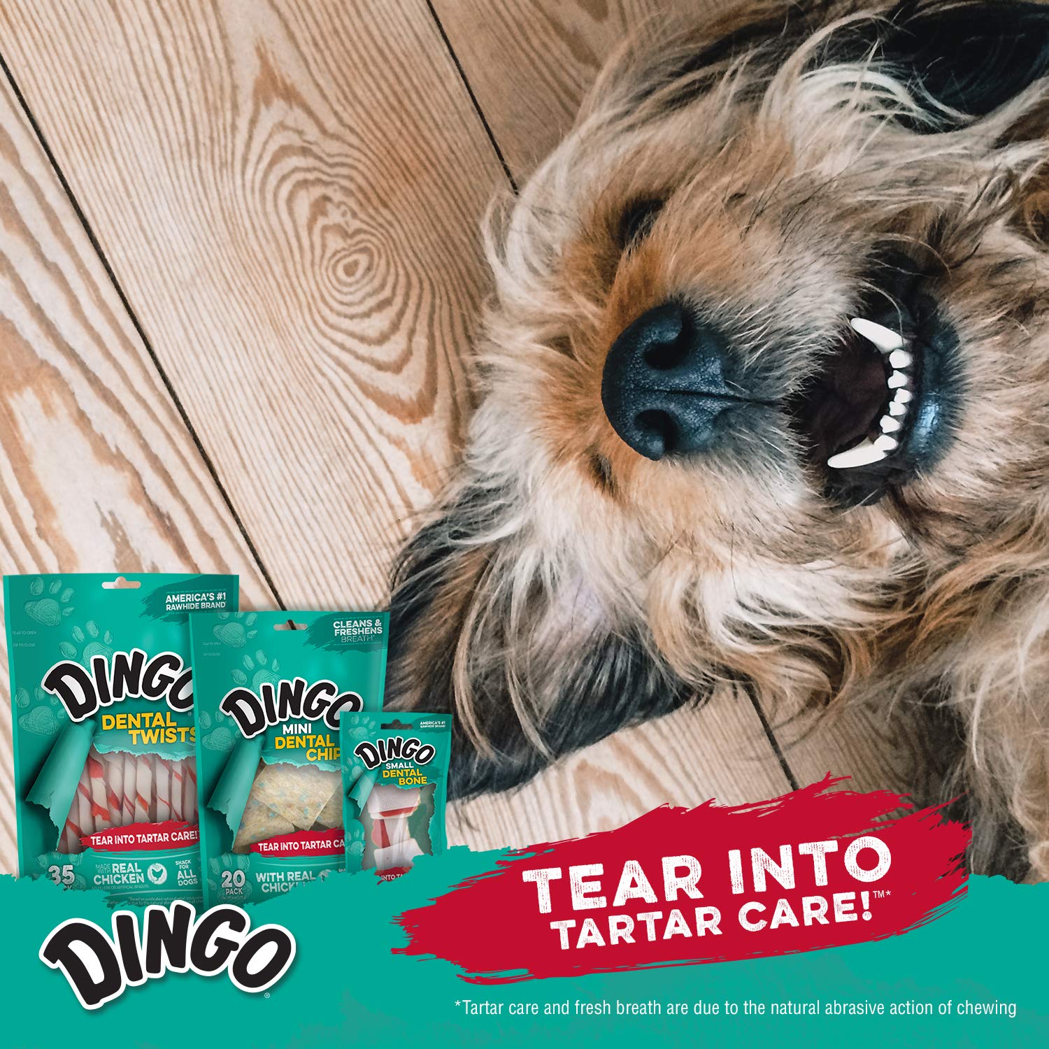 dingo dental treats